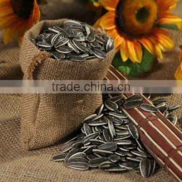 Top Quality Big Size Sunflower Seeds