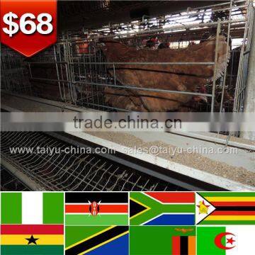 Trade assurance NO.1 Quality stronger A frame stock 128 chickens 4 tier a type layer poultry cages