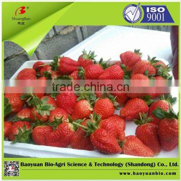 Macroelement Liquid Fertilizer With Citric Acid 150-150-200 photo-3