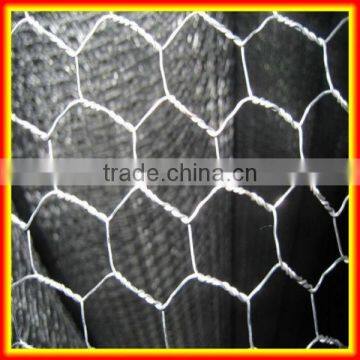 China manufacture galvanized hexagonal chicken wire mesh fence