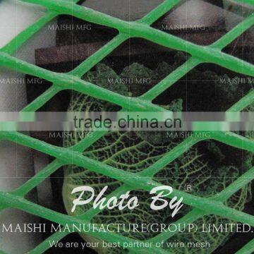 Plastic Diamond Extruded Netting photo-3