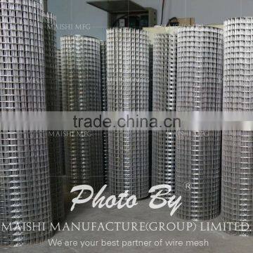 50x50mm welded wire mesh