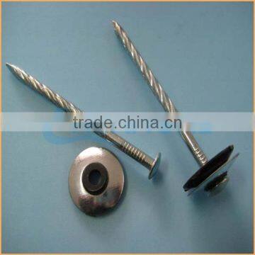 Top quality construction common roofing nail iron nail quality assured trusted Chuanghe suppliers from alibaba com