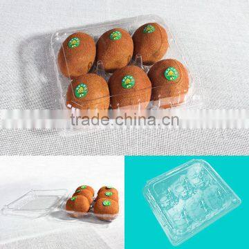 Cheap 6pcs Clear Plastic Kiwi Fruit Packaging Container,fruit Boxes photo-2