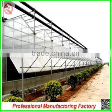 Commercial Used Steel Truss Frame Polycarbonate Greenhouses for Hot Sale photo-4
