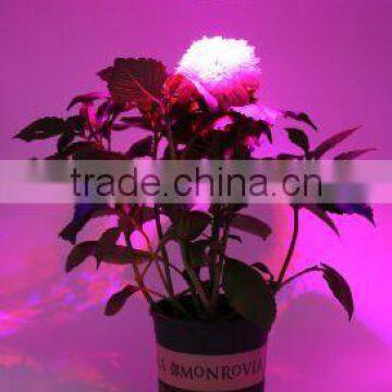 UL Approved Par 38 Light Led 54W (16x3w) With 3 Years Warranty for Pot Plant Growing photo-6