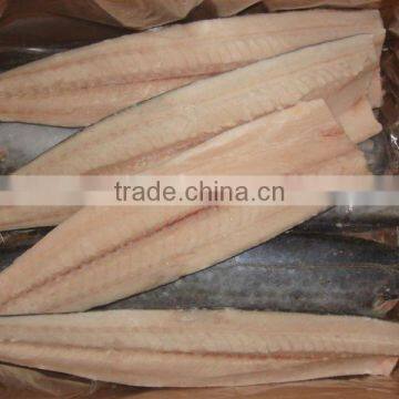 quality frozen mackerel