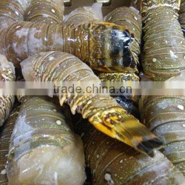 Lobster Tails photo-2