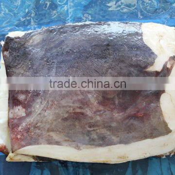Frozen Seafood Peru Giant Squid Meat/Wing Squid Fillet