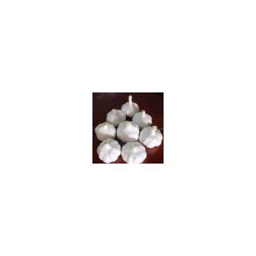 China Garlic(fresh) photo-3