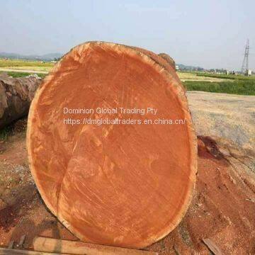 Cheap Kosso / Sapelli / Tali / Teak / Pachyloba Wood Logs photo-2