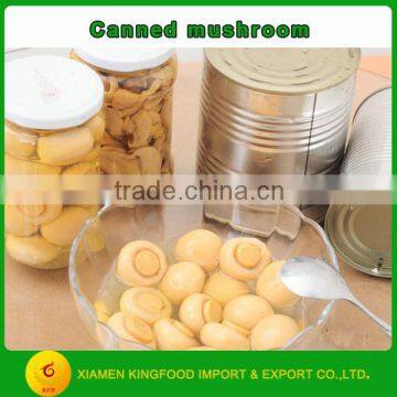 Wholesale canned mushroom 3kg from factory