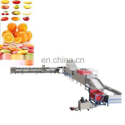 Industrial Orange Mango Apple Avocado Fruit Washing Waxing Drying Grading Machine