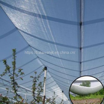 Anti Hail Net for Protection Greenhouse / White Anit Hail Net