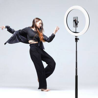 wholesale adjustable selfie led ring flash light tripod selfie stick with  ring light for phone make up 12inch ring light