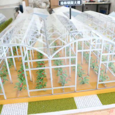 Agricultural Greenhouse Sand Table Model Making Factory photo-4