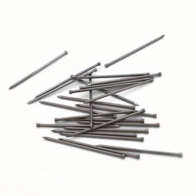 Stainless Steel Bullet Head Nails Rust-Resistant 190g per Pack