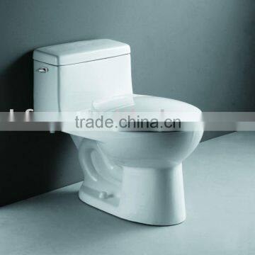 3120 Elongated one piece toilet