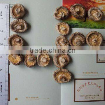 dried mushroom price