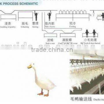 (Duck production-line) poultry slaughterhouse equipment