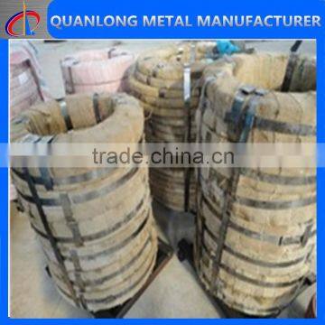 Q195 Galvanized Steel Strip photo-6
