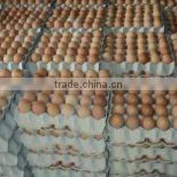 Farm Fresh Chicken Eggs