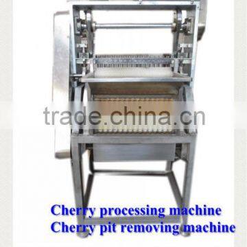 Fruit Stem Removing Machine / Chilli Stem Removing Machine photo-4
