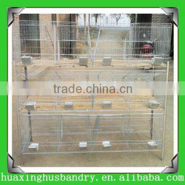 Hot sale galvanized layer quail cages for sale