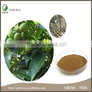 100% Natural Olive Leaf Extract Powder in Bulk photo-6