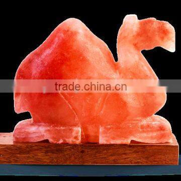 Camel Shape, Himalayan Salt Lamps