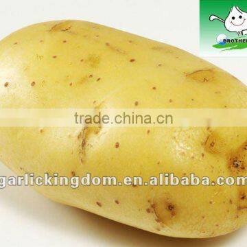 Fresh Potato(150g-250g)/