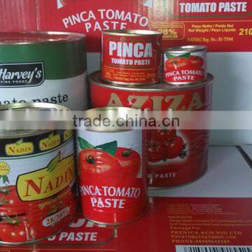 Good Quality Canned Tomato Paste 28/30 concentration