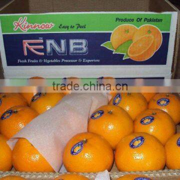 Kino kinnow Mandarin Tangerine Orange Citrus fruit from Pakistan