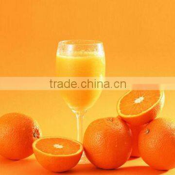 Organic navel juicy orange for sale