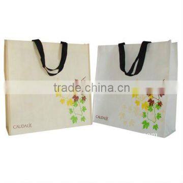 Non Woven Limination Bag