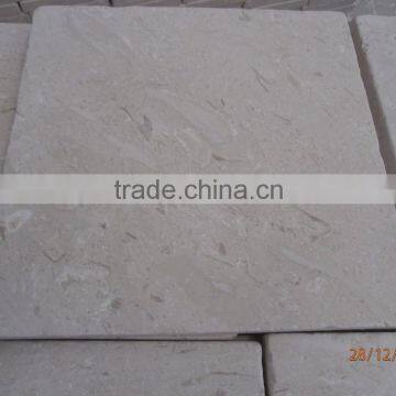 Fossil Limestone Tiles for floor and wall from Turkey
