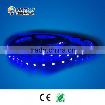 Waterproof 5050 Smd Led Strip Light IP68 Led 24 Volt Strip Light 19 w per Meter photo-2