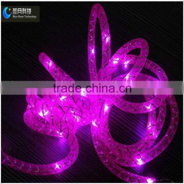 Popular Christmas Led Rope Tube Light Outdoor and Indoor Used