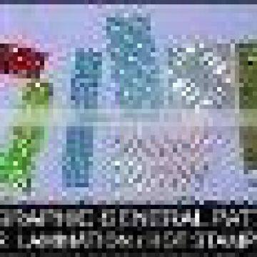 Custom Design Films/plastic films/packaging films