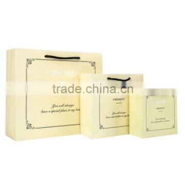Custom Logo printing gift paper bag advertising shopping bag