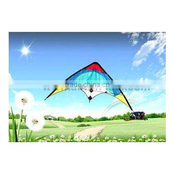 Dual Line Delta Stunt Kites - Curved Edge Kites