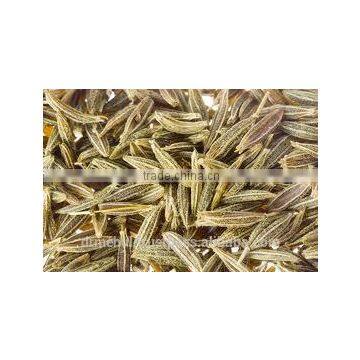 Cumin Seed Gujarat photo-3