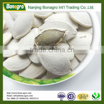 roasted & salted pumpkin seed China origin size 10.5cm snow white