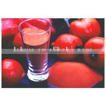 100% natural Lycopene Extract tomato extract powder