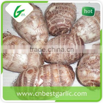 Buy chinese fresh eddo taro price