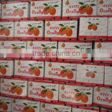 navel orange in colourful carton