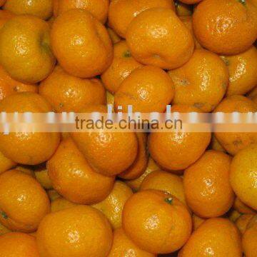 Jiangxi nanfeng orange