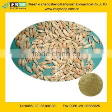Barley Malt Extract from GMP Certified Manufacturer