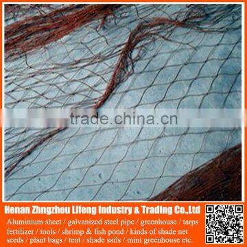 build plastic bird trap net / netting mesh , nylon anti bird net fabric , nylon safety net for fruit / vegetable