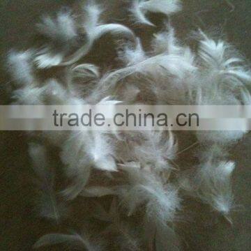 2-4cm White Duck Feater